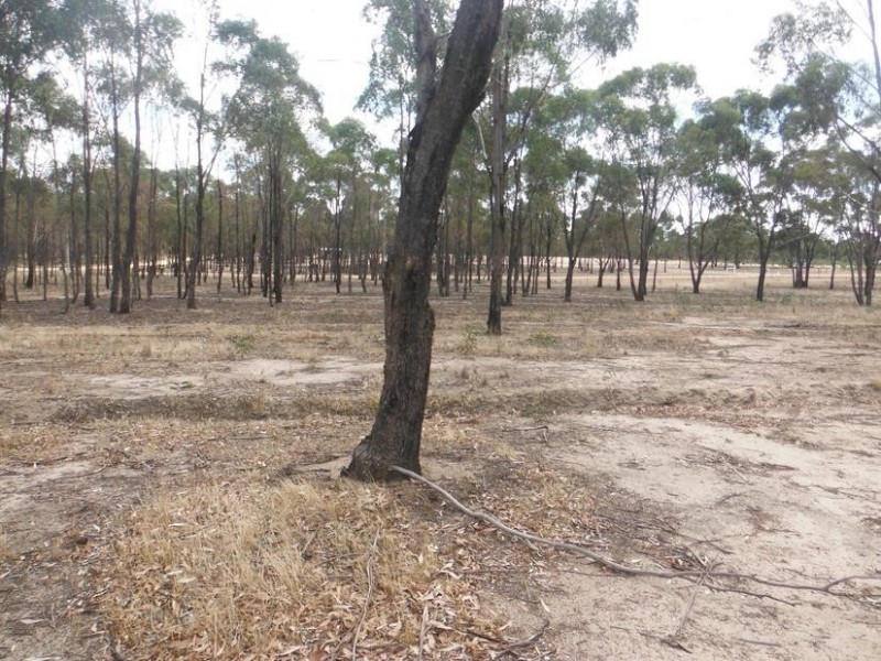 10 Smiths Road, Bealiba VIC 3475