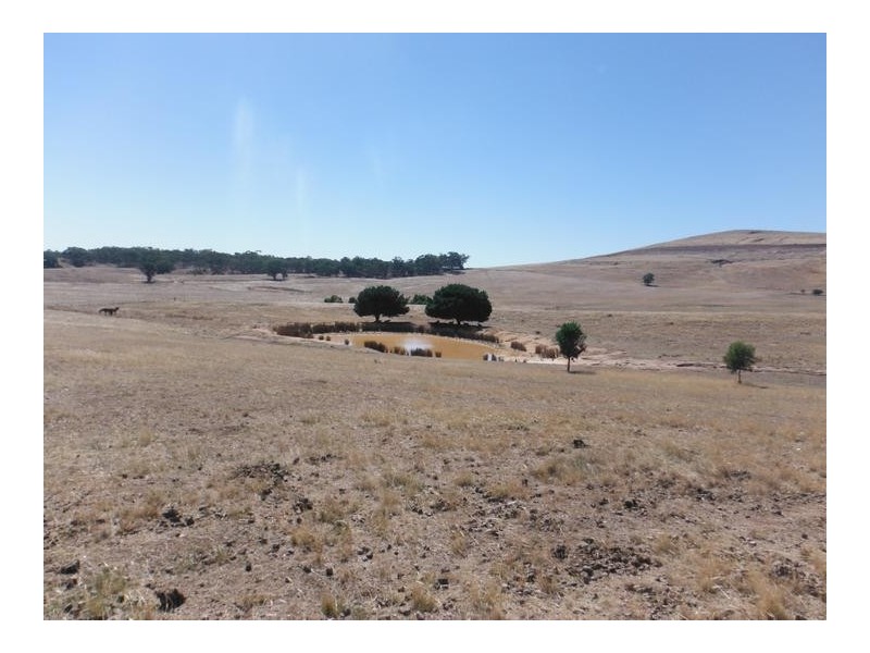 1725 McCallums Creek Road MOUNT GLASGOW, Talbot VIC 3371