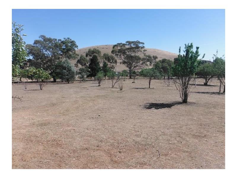 1725 McCallums Creek Road MOUNT GLASGOW, Talbot VIC 3371