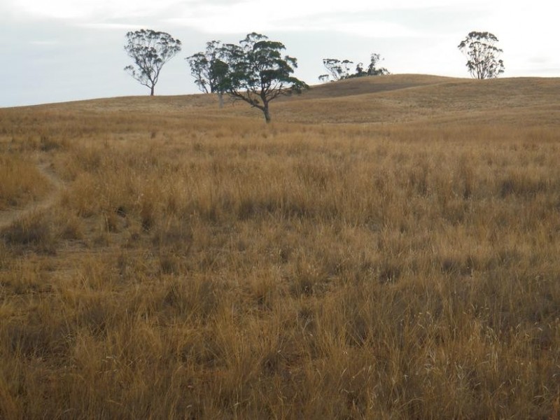 Lot 2,  Dunolly Road EMU, Bealiba VIC 3475