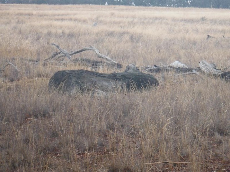 Lot 2,  Dunolly Road EMU, Bealiba VIC 3475