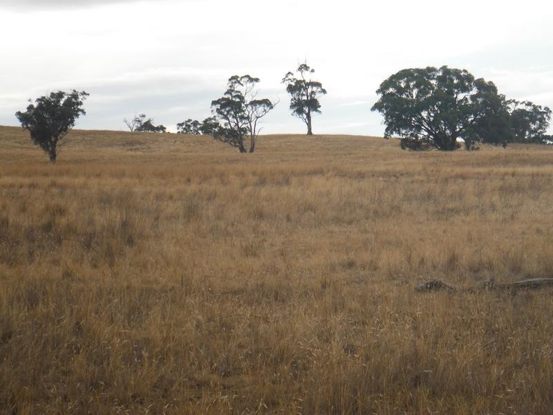 Lot 2,  Dunolly Road EMU, Bealiba VIC 3475