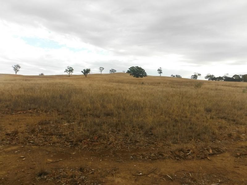 Lot 2,  Dunolly Road EMU, Bealiba VIC 3475