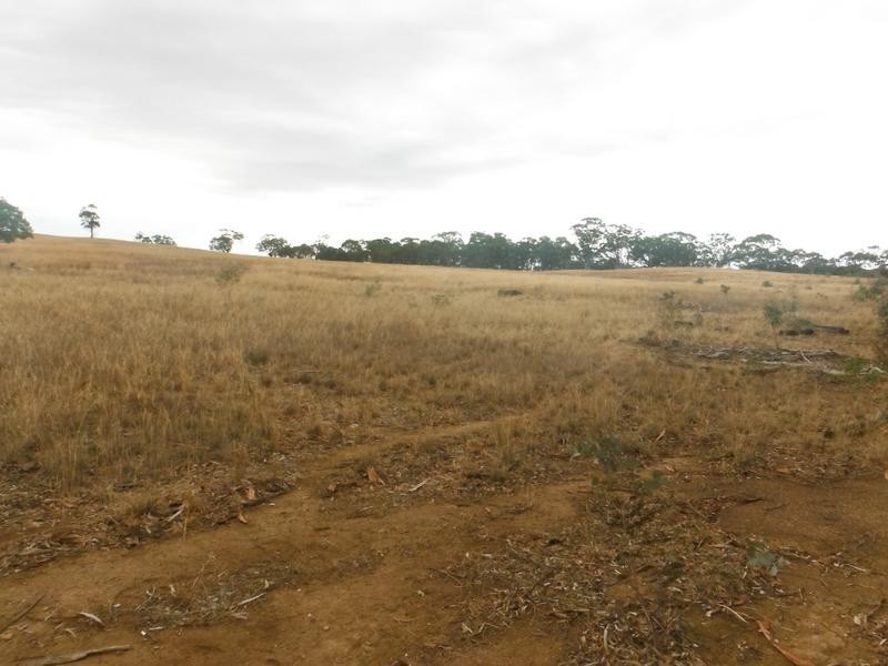 Lot 2,  Dunolly Road EMU, Bealiba VIC 3475