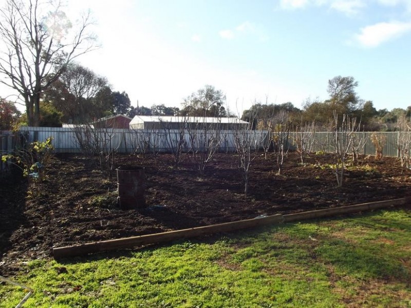 6 Annesly Street CARISBROOK, Maryborough VIC 3465