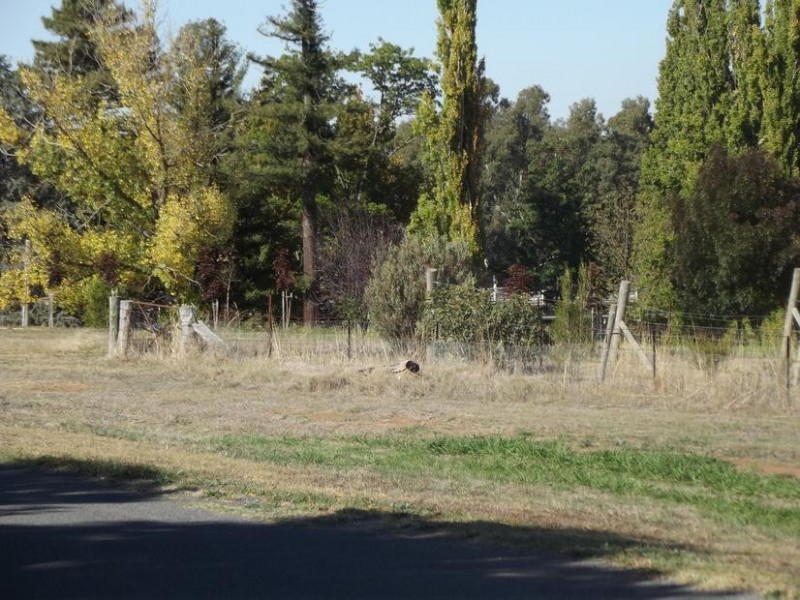 14 McCallum Street, Carisbrook VIC 3464