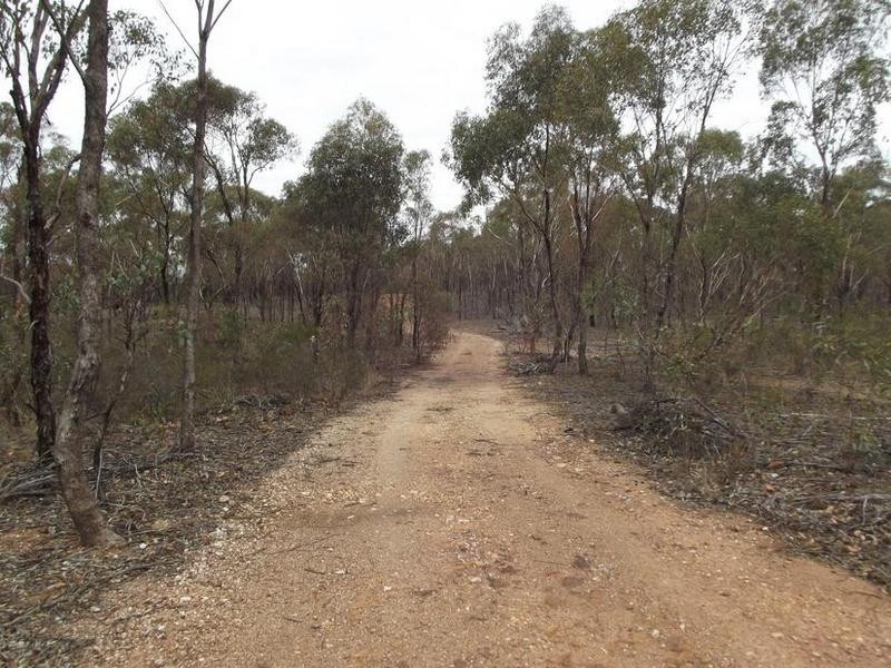 970 Timor – Bromley Road, BET BET, Dunolly VIC 3472