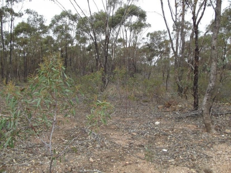 970 Timor – Bromley Road, BET BET, Dunolly VIC 3472