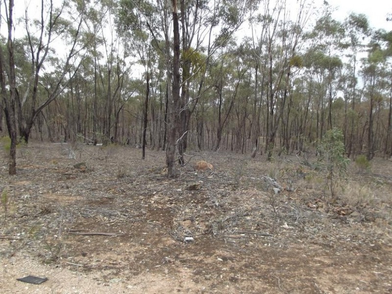 970 Timor – Bromley Road, BET BET, Dunolly VIC 3472