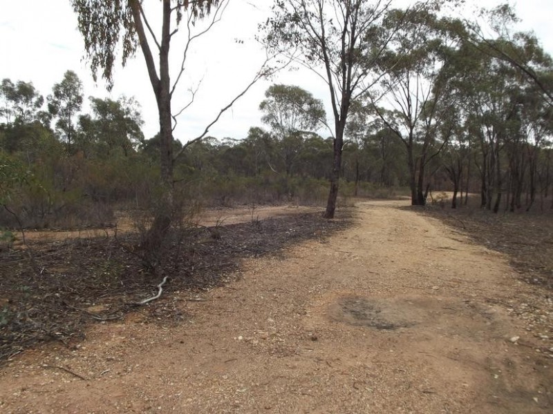 970 Timor – Bromley Road, BET BET, Dunolly VIC 3472