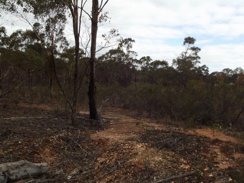 970 Timor – Bromley Road, BET BET, Dunolly VIC 3472