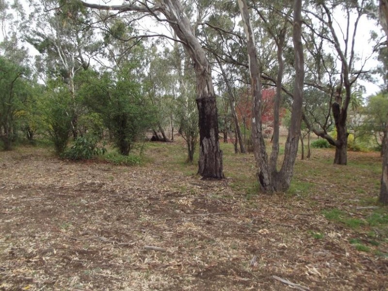 302 Talbot Road MAJORCA, Maryborough VIC 3465