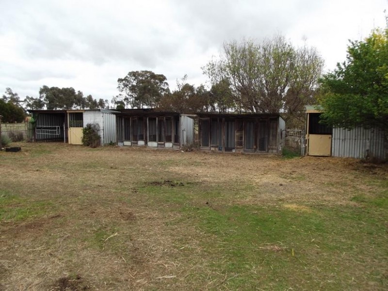 42 Harkin Court ALMA, Maryborough VIC 3465