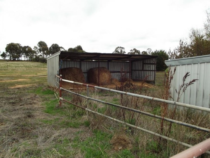 42 Harkin Court ALMA, Maryborough VIC 3465