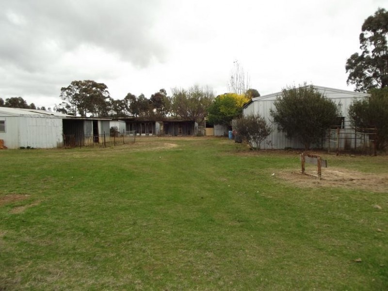 42 Harkin Court ALMA, Maryborough VIC 3465