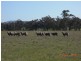 607 Timor Mt Hooghly Road, Mount Hooghly VIC 3472