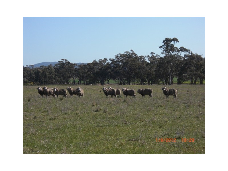 607 Timor Mt Hooghly Road, Mount Hooghly VIC 3472