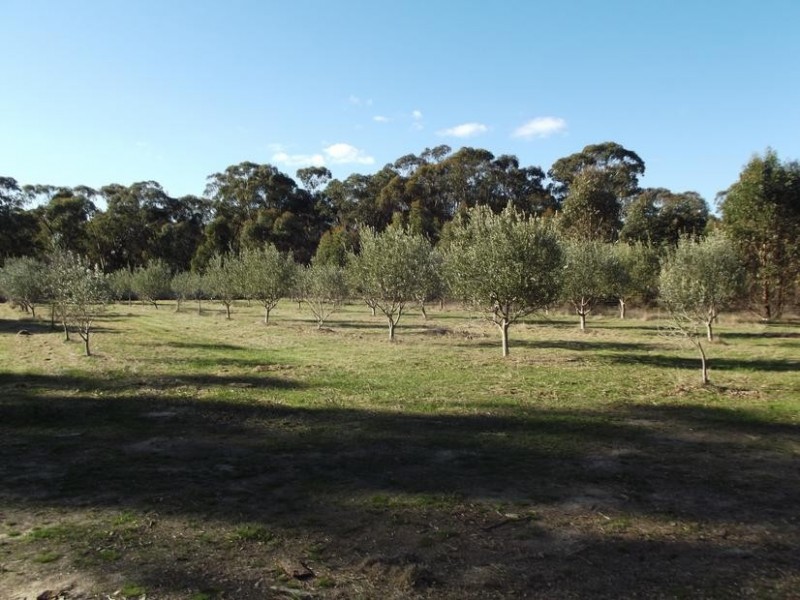 5690 Ballarat Maryborough Road, Daisy Hill VIC 3465