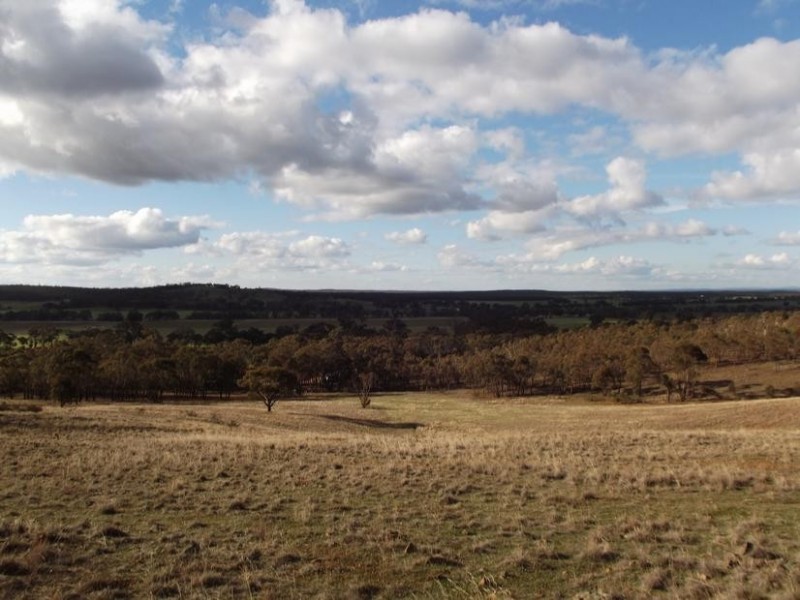 607 Timor Road, Mt Hooghly, Dunolly VIC 3472
