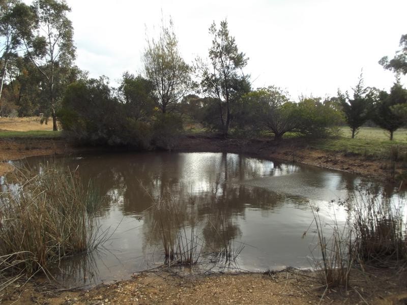 711 Old Avoca Road, BUNG BONG, Maryborough VIC 3465