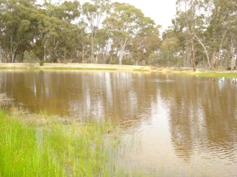 55 Collings Road, AMHERST, Maryborough VIC 3465