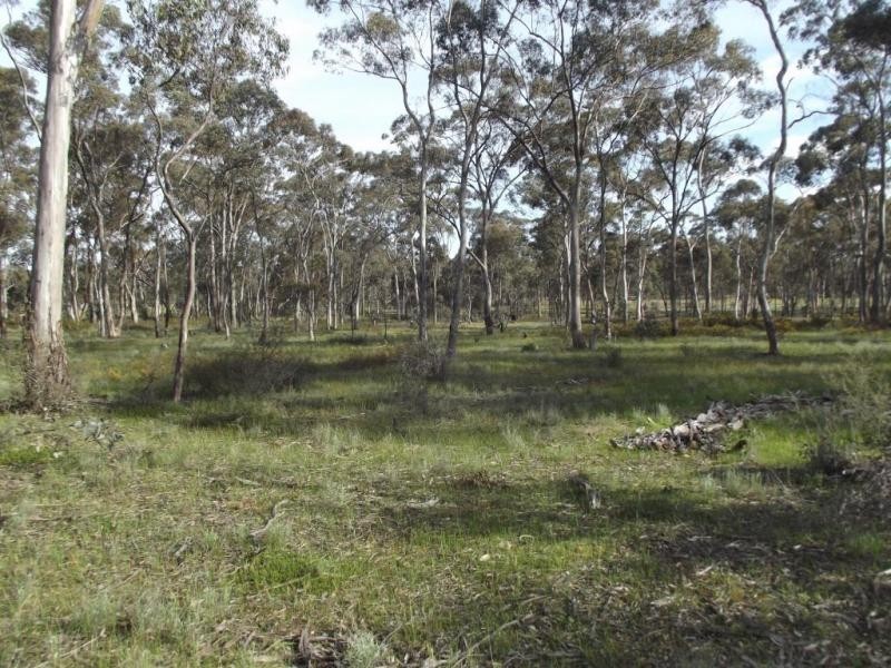 215 Peacock Track-Lillicur, Talbot VIC 3371