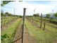 . Hall Street, Carisbrook VIC 3464