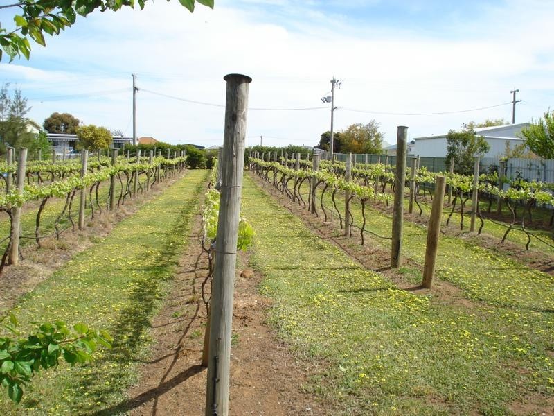 . Hall Street, Carisbrook VIC 3464