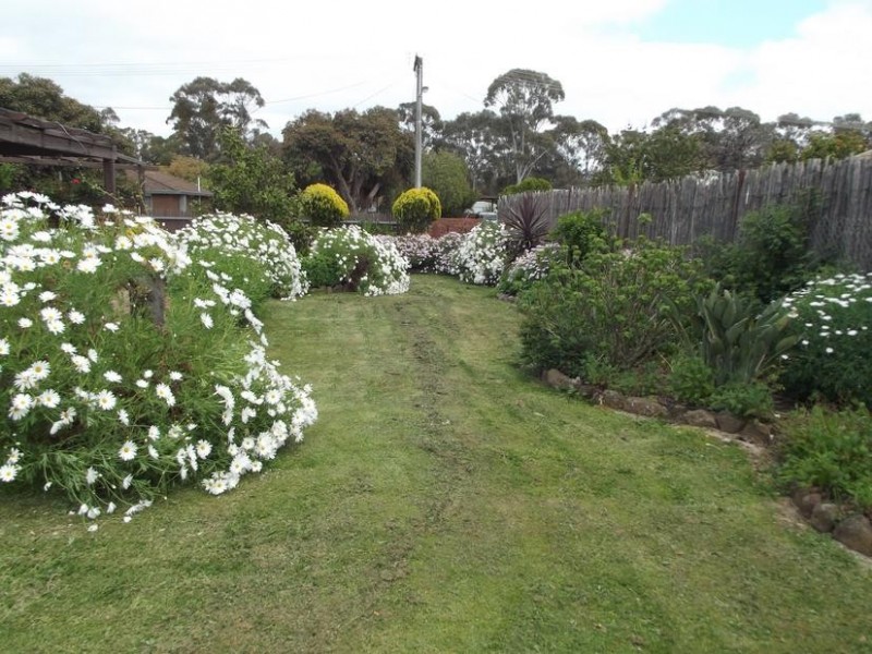 113 Queens Avenue, Maryborough VIC 3465