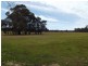 Lot 2,  Rooneys Lane PAINSWICK, Dunolly VIC 3472