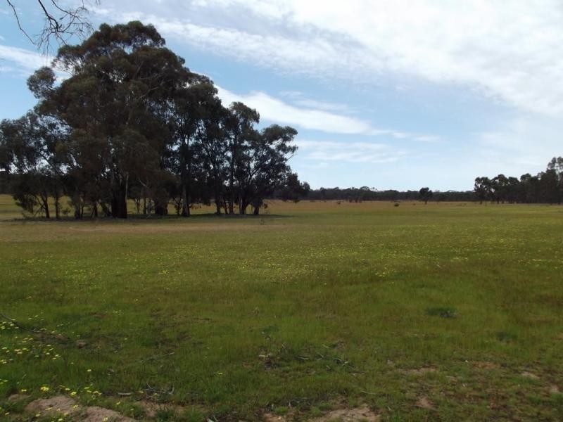 Lot 2,  Rooneys Lane PAINSWICK, Dunolly VIC 3472