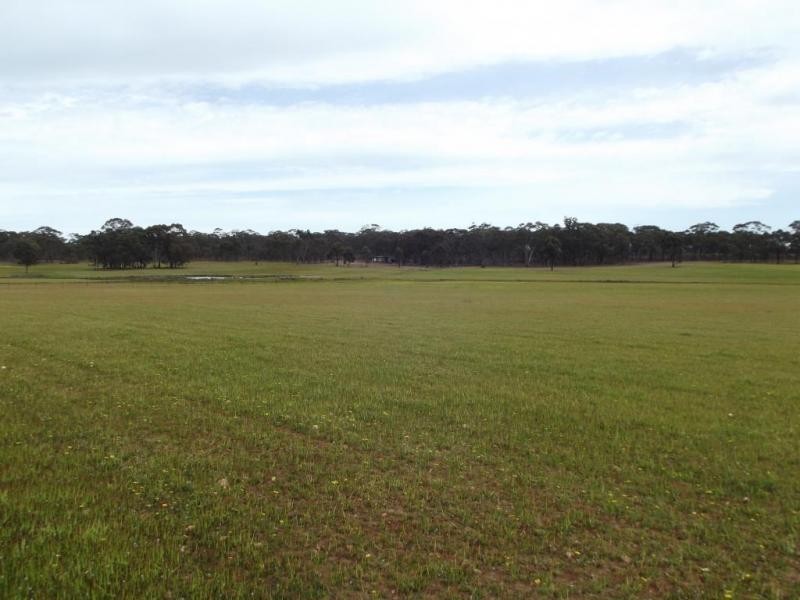 Lot 2,  Rooneys Lane PAINSWICK, Dunolly VIC 3472