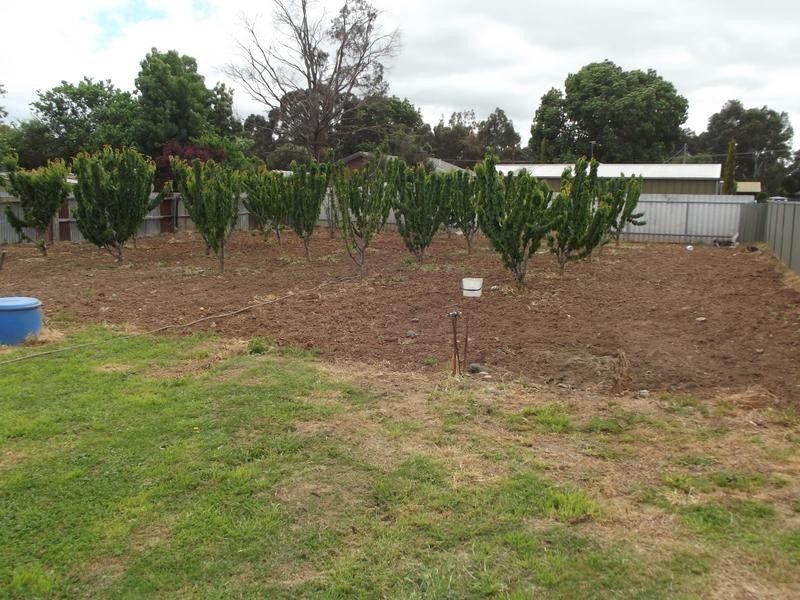 6 Annesly Street, Carisbrook VIC 3464