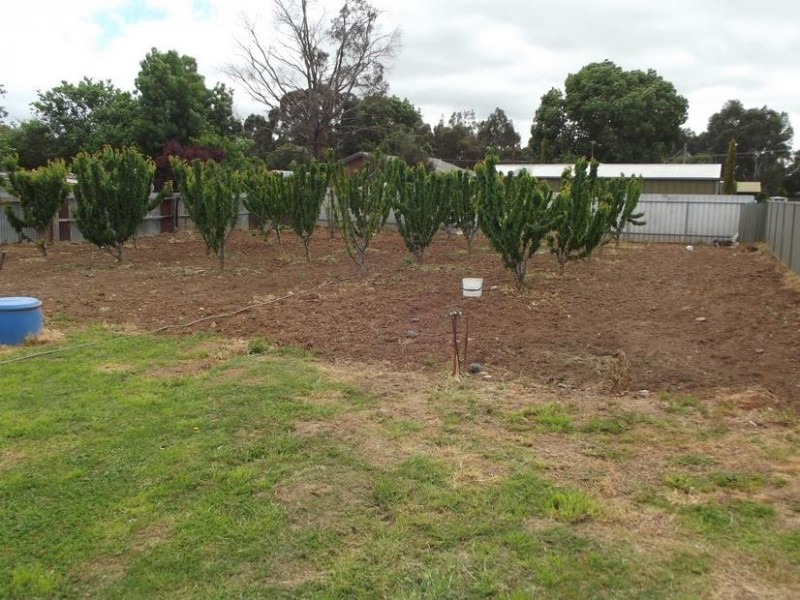 6 Annesly Street, CARISBROOK, Maryborough VIC 3465