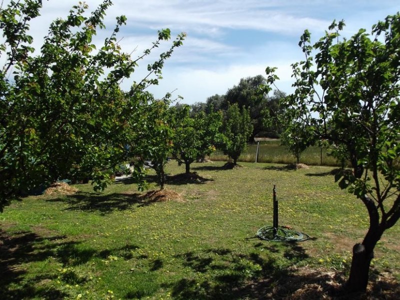 9 Reservoir Road, BOWENVALE, Maryborough VIC 3465