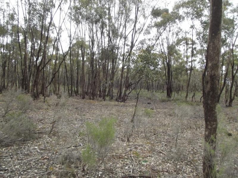 244 Moonlight Road, MOONLIGHT FLAT, Maryborough VIC 3465