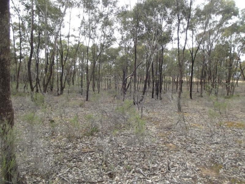 244 Moonlight Road, MOONLIGHT FLAT, Maryborough VIC 3465