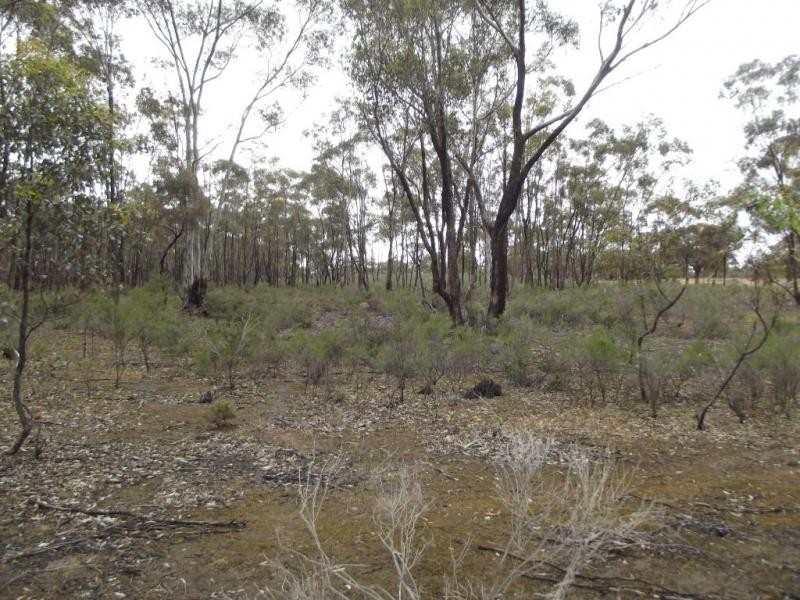 244 Moonlight Road, MOONLIGHT FLAT, Maryborough VIC 3465