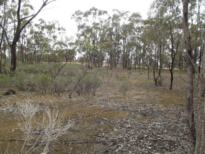 244 Moonlight Road, MOONLIGHT FLAT, Maryborough VIC 3465