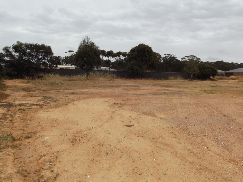 10 Shamrock Court, Maryborough VIC 3465