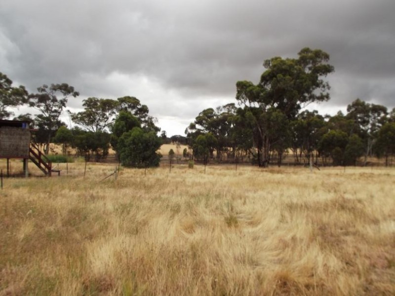 54 Davies Street, Bealiba VIC 3475