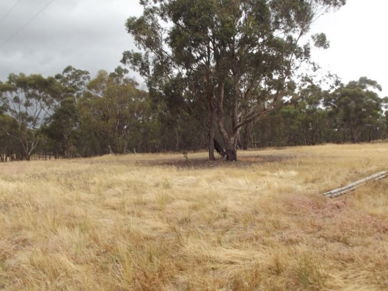 54 Davies Street, Bealiba VIC 3475