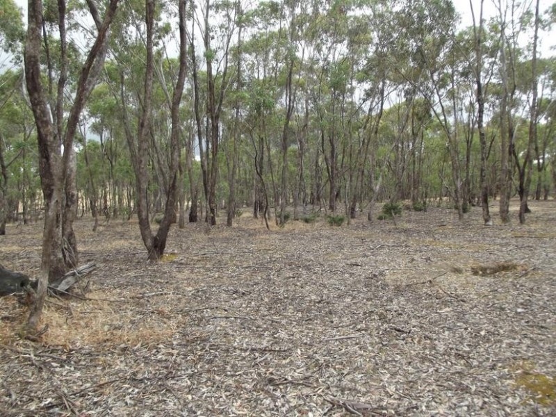 54 Davies Street, Bealiba VIC 3475