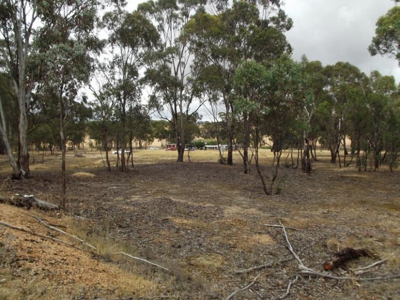 54 Davies Street, Bealiba VIC 3475