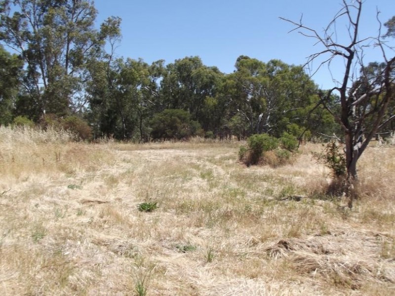 3 Coburns Lane BEALIBA, Dunolly VIC 3472