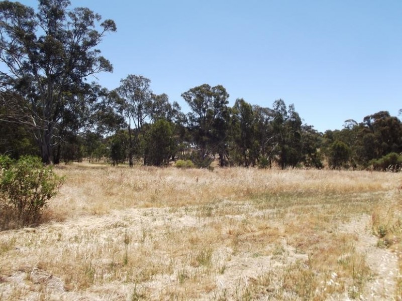 3 Coburns Lane BEALIBA, Dunolly VIC 3472