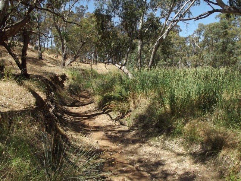 3 Coburns Lane BEALIBA, Dunolly VIC 3472