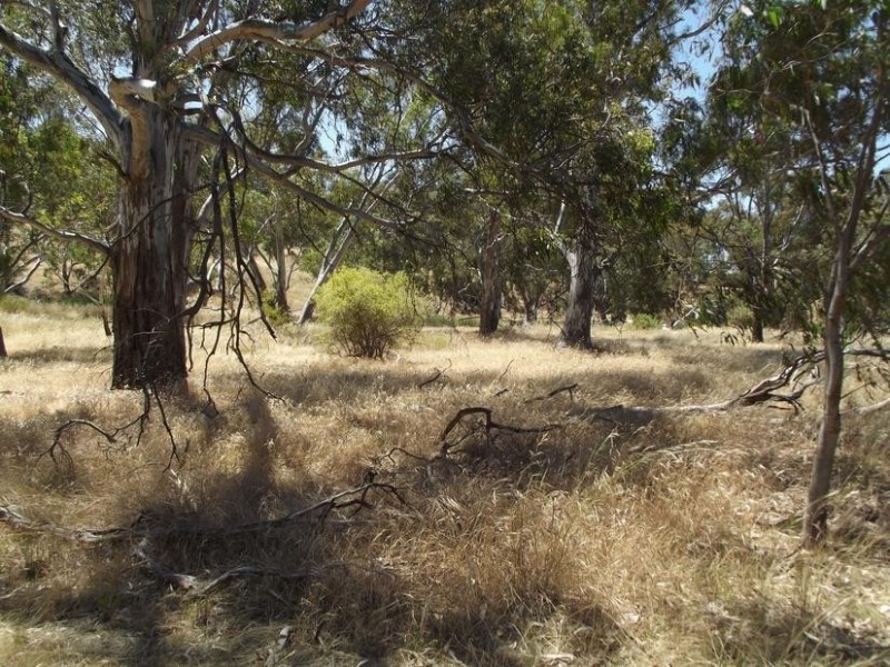 3 Coburns Lane BEALIBA, Dunolly VIC 3472