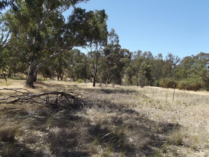 3 Coburns Lane BEALIBA, Dunolly VIC 3472