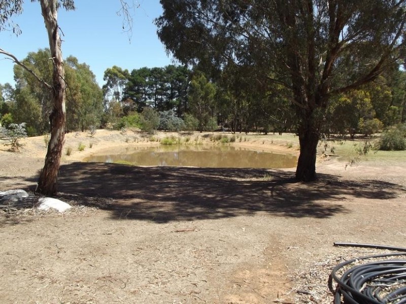 22 Tipperary Lane ALMA, Maryborough VIC 3465